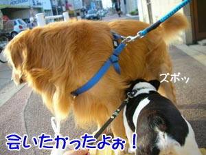 ¤¦¤Á¤ËÍè¤Æ¤¯¤ì¤Æ²ñ¤Ã¤¿¤±¤É¤Ã