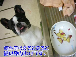 ¥¤¥â¤«¡©¥Ü¥¯¤ÎÂç¹¥¤¤Ê¥¤¥â¤Ê¤ó¤«!?