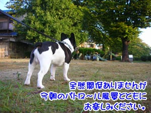 ¥Ü¥¯¤¬¤¦¤ó¤³¿©¤Ù¤Æ¤¤¤¿º¢¤ÎÏäǤ¹