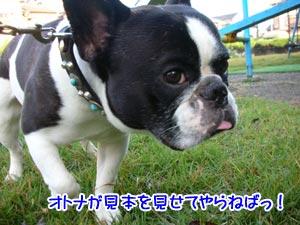ÂΤòÄ¥¤Ã¤Æ¤Ê¡ª