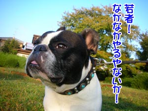 ¸«Ä¾¤·¤¿¤¾¡ª
