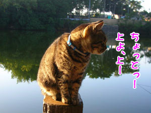 ¤¢¤ó¤¿¤ÎÓ̳ФϤɤ¦¤Ê¤Ã¤Æ¤ó¤Î¤è¤Ã¡ª