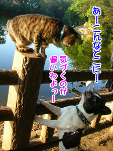 µ¤¤Å¤«¤Ø¤ó¤«¤Ã¤¿¡ª