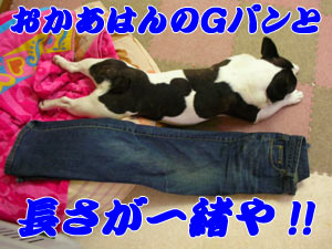 »²¤Ã¤¿¤«¡ª¡ª