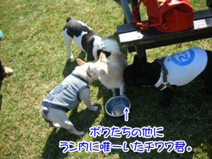 ·¯¡¢¥¨¥¨¥Ë¥ª¥¤¤¹¤ë¤ä¤ó¢ö