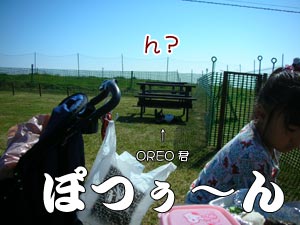 °ì¿ÍµÙ·Æ¤Á¤¥