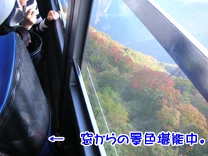 ¥¥ì¥¤¤ä¡Á