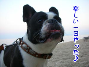 ½¼¼Â¤·¤¿°ìÆü¤Ç¤·¤¿¡£