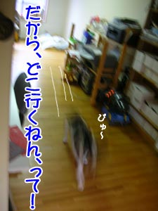 ¥¢¥«¥ó¡¢¤Æ¸À¤¦¤Æ¤ë¤ä¤í¡¼¤Ã¡ª