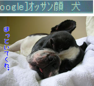 ¤½¤¦¤µ¡¢¥ª¥Ã¥µ¥ó´é¤µ¡£
