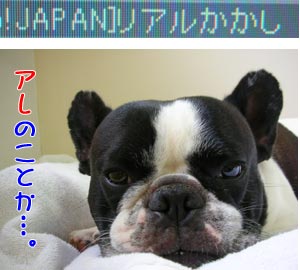 ¤¤¤Ä¤¾¤ä¤Î¿À¤«¡¦¡¦¡¦
