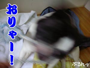 ¤¢¤Ù¤·¡¼¡ª