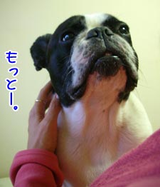 ¶ì¤·¤å¤¦¤Ê¤¤