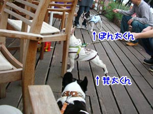 µ×¤·¤Ö¤ê¤£¡Á¢ö