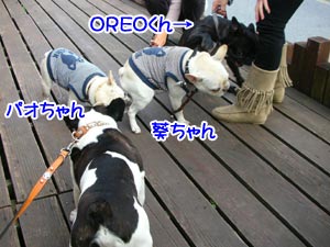 ¤¤¤Ä¤â¤Î¥á¥ó¥Ð¡¼¢ö