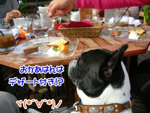 ¥Ü¥¯¤Î¤Ï¤Ê¤¤¤Î¤Ë¤Ã!?