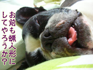 ¥Ç¡¼¥â¥ó¤À¤±¤Ë¡¦¡¦¡¦