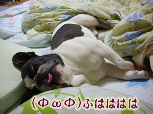 ¦·(¡®¢Ï¡)¦·Ž¹Ž¹Ž¹