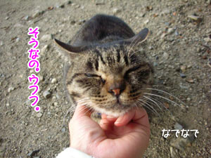 ¤ª¤«¤¢¤Ï¤ó¡¢¤é¤Ö¢ö