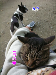 ¤Ê¤ó¤«¥¤¥ä¤Êͽ´¶¤¬¡¦¡¦¡¦