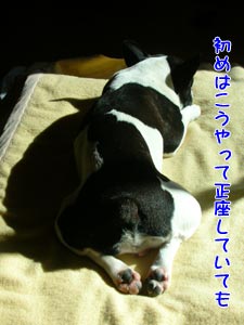 µ¤»ý¤Á¤¤¤¤¡Á