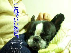 ¥Ð¥«¥Ü¥ó¥Ñ¥Ñ¤Ê¤Î¤À¡£