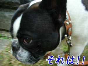 ¥º¥Ð¥ê¡ª¡ª
