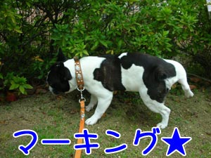 ¥Ü¥¯¤Î¾µÇ§°õ¤ÈƱ¤¸¤ä¡ª