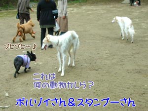 ¸«¤ë¤«¤é¤Ë¸¤½¤¦¤ä¤·¡£