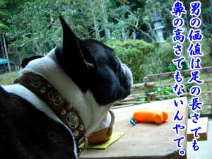 ¤ï¤«¤ë¤«¤Ê¡£