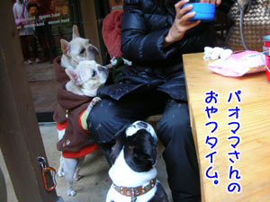 ¥Ñ¥ª¥Þ¥Þ¤µ¤ó¡¢¤é¤Ö¢ö