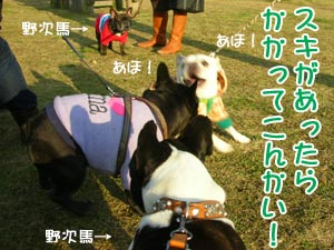 ¥Ô¥ó¥Ý¥ó¤ä¤Ã¤Æ¤Æ¤ó¤¾!!