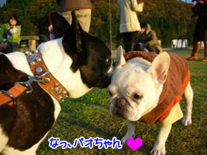 ¤ä¤Ã¤Ñ¤ê¥Ñ¥ª¤Á¤ã¤ó¤¬°ìÈÖ¢ö