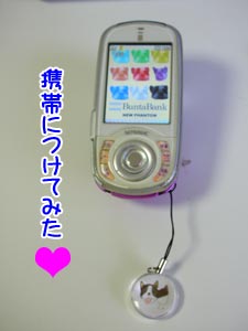 ¡´(*¡¢Ï¡®*)ŽÉ޷ެޝ޷ެ