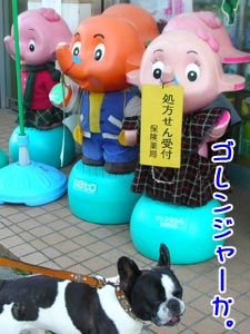 Àµ³Î¤Ë¤Ï¥´¥ì¥ó¥¾¥¦¤ä¤Ê¡£