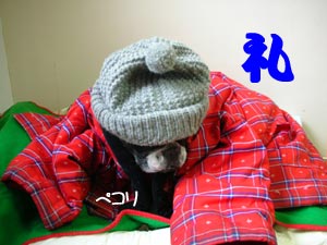 ̾Á°¤Ï°ì±þ¡Ö¥Õ¥ì¥ó¥Á¡×¤Ç¤¹¤¬¡£