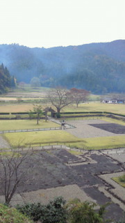 NEC_0765.jpg