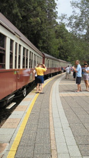 NEC_0839.jpg