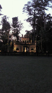 NEC_0853.jpg