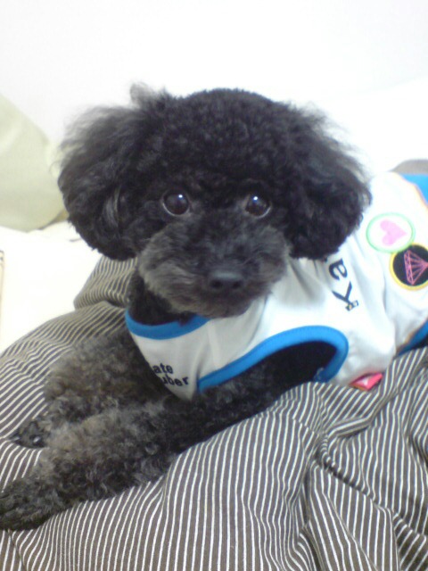 20100928223713.jpg