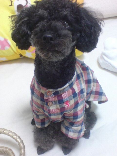 20101007223134.jpg