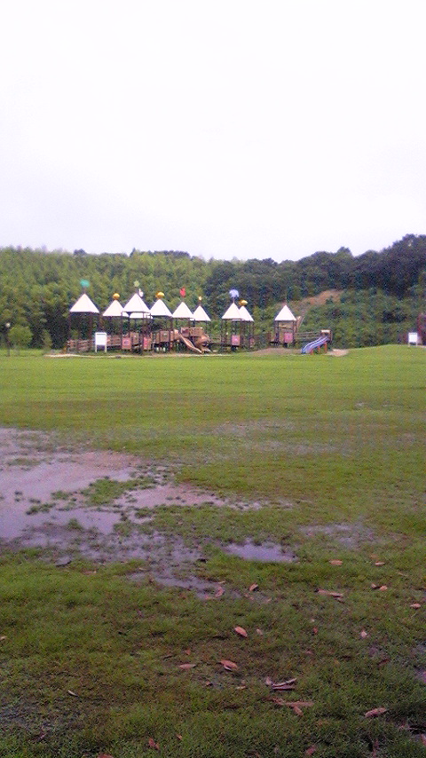 DVC00009.jpg