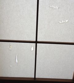 障子の傷