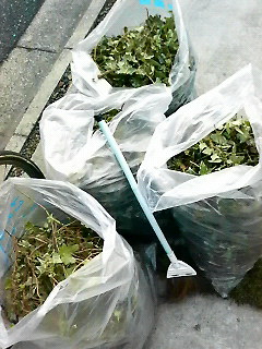 201011111626000.jpg