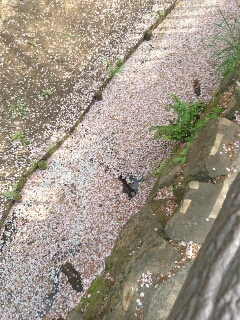 20170421093846.jpg