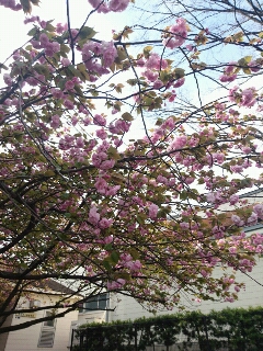 20170421093927.jpg