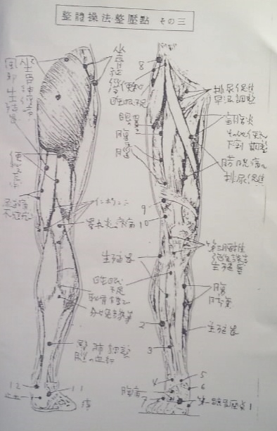 整体自然法の智慧と霊術・僊術の融合 | 自然福智 獲得への道