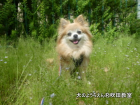 20180516sui (15).JPG