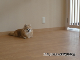 20180516sui (21).JPG