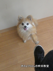 20180516sui (27).JPG